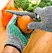 cut and puncture proof gloves